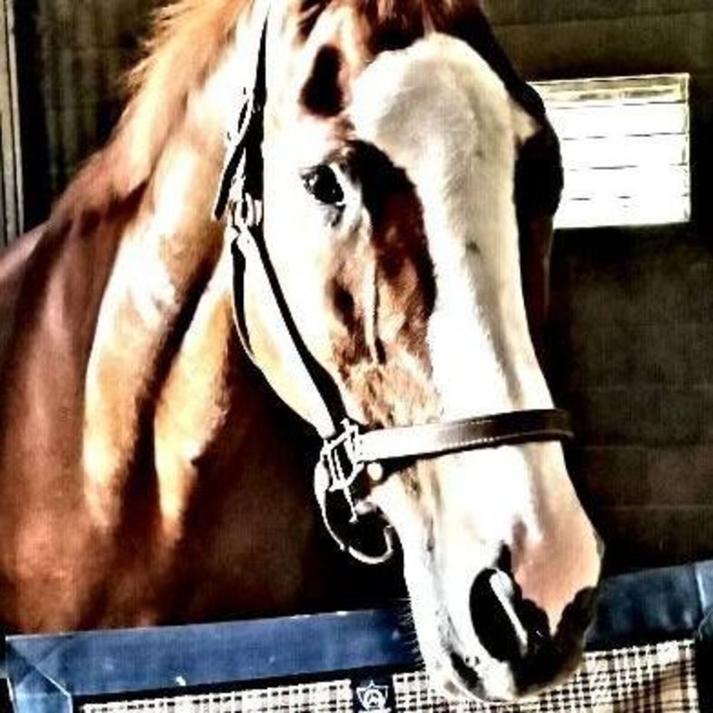 Meet your Posher, Lindsay